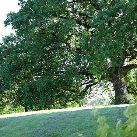 Saint Clair 4* Бальма